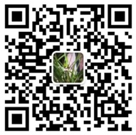 某某崗亭有限公司 二維碼